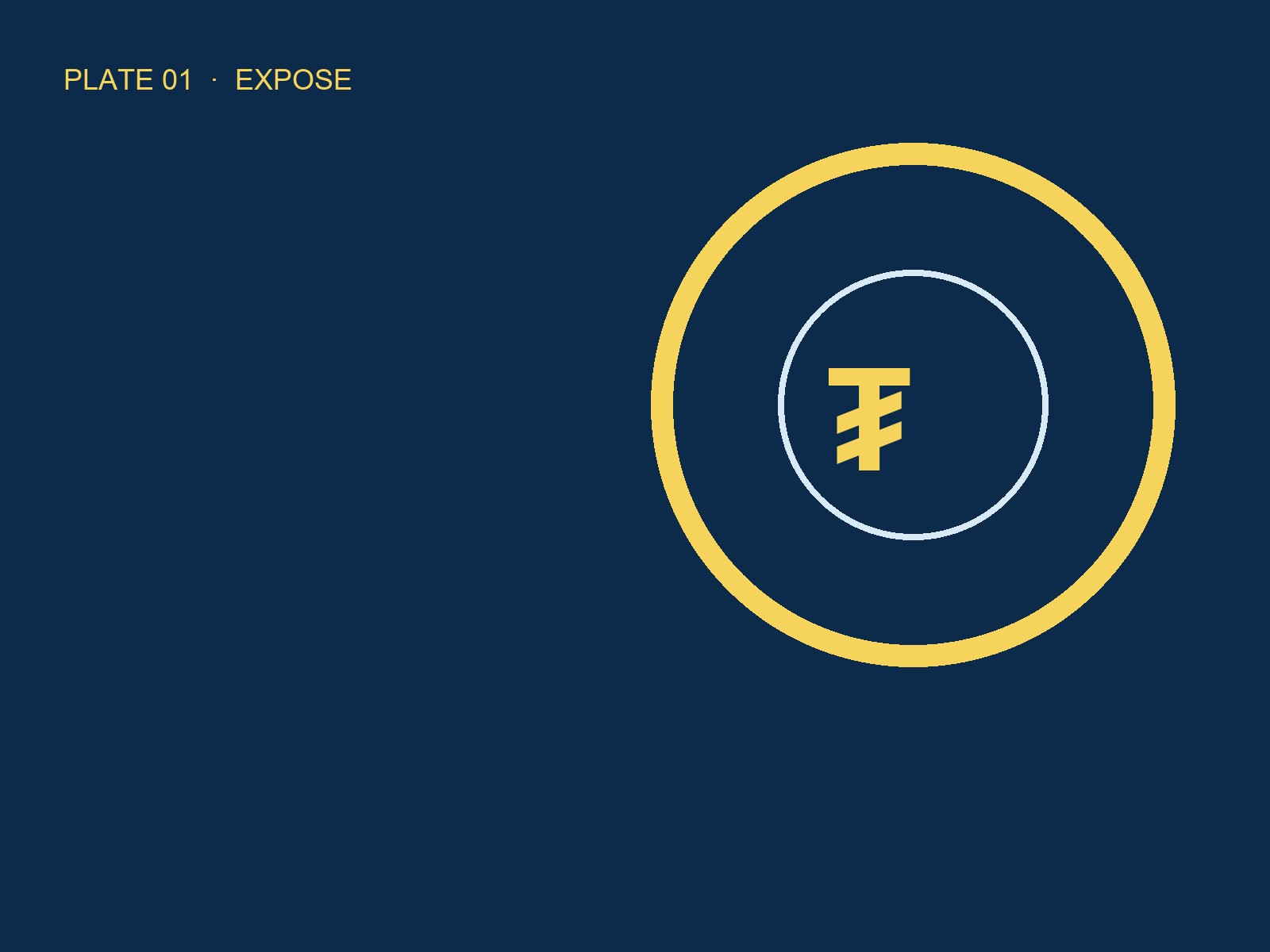Flash USDT software plate